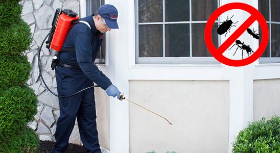 Reşadiye Böcek ve Haşere İlaçlama böcek ilaçlama ve haşere kontrolü — ilaclama-tr.com